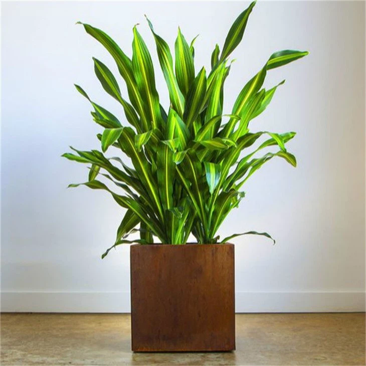 Corten Cube Planter1